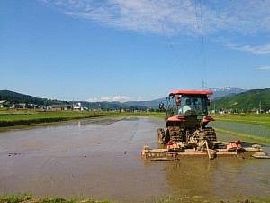 代掻き