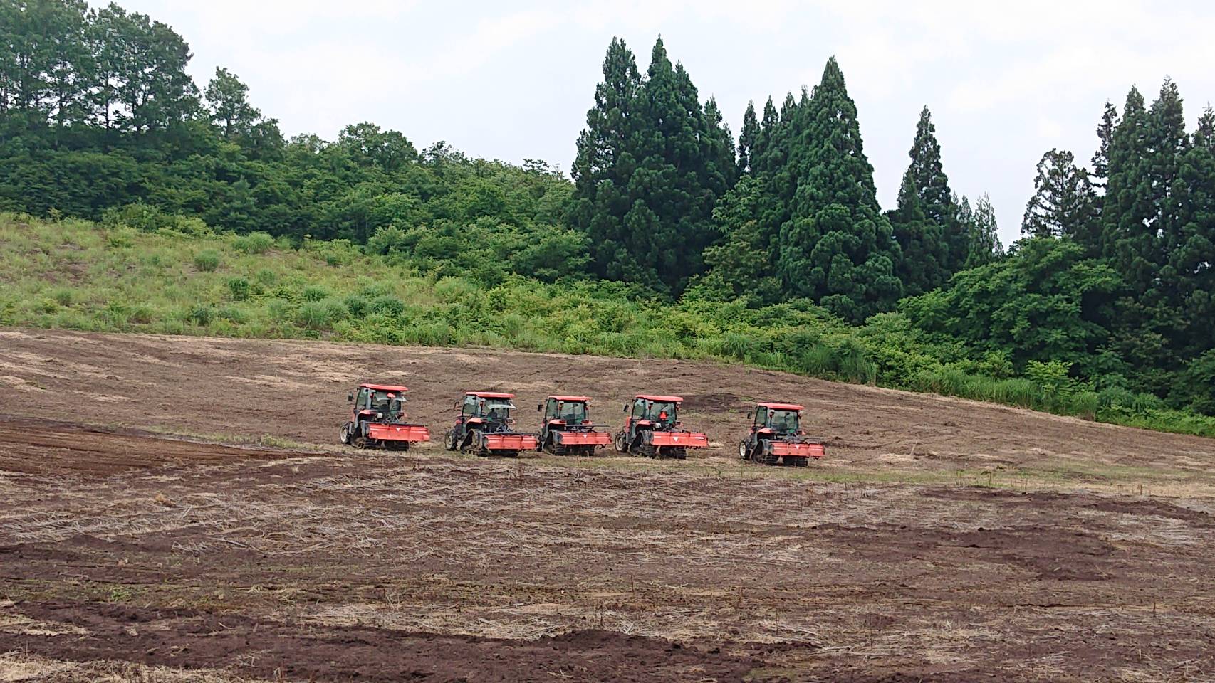 コスモス園の耕起を5台トラクターで行いました 新着情報 一般財団法人 魚沼農耕舎