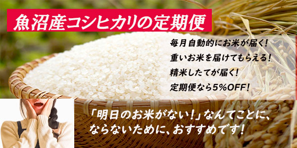 定期便魚沼産コシヒカリ、自動的にお米が届く