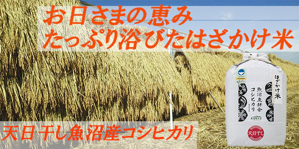 魚沼産コシヒカリ 天日 はざかけ米 通販